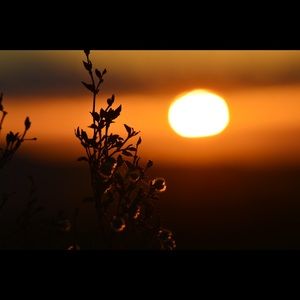 Meet your Posher, Lauria